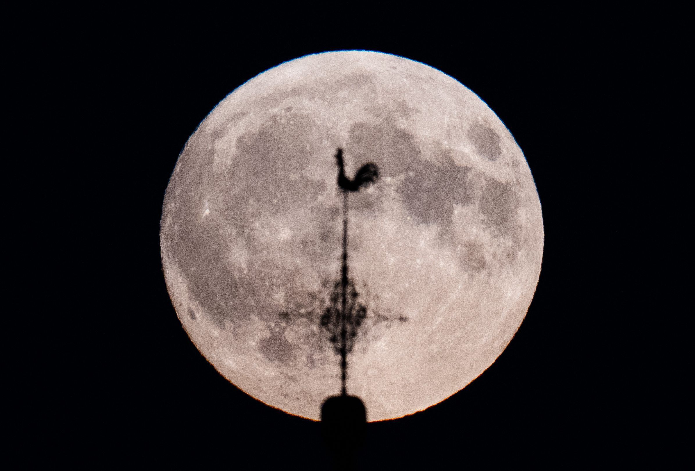 ARCHIV - 17.09.2024, Hessen, Wehrheim: Der Supermond geht hinter der Kirche von Wehrheim im hessischen Taunus auf. Durch seine relativ große Nähe zur Erde wirkt der Mond dabei besonders groß.



Der Mond ist der Erde in diesen Tagen etwas näher. (zu dpa: «Riesiger Mond, kleiner Komet») Foto: Boris Roessler/dpa - Honorarfrei nur für Bezieher des Dienstes dpa-Nachrichten für Kinder +++ dpa-Nachrichten für Kinder +++
