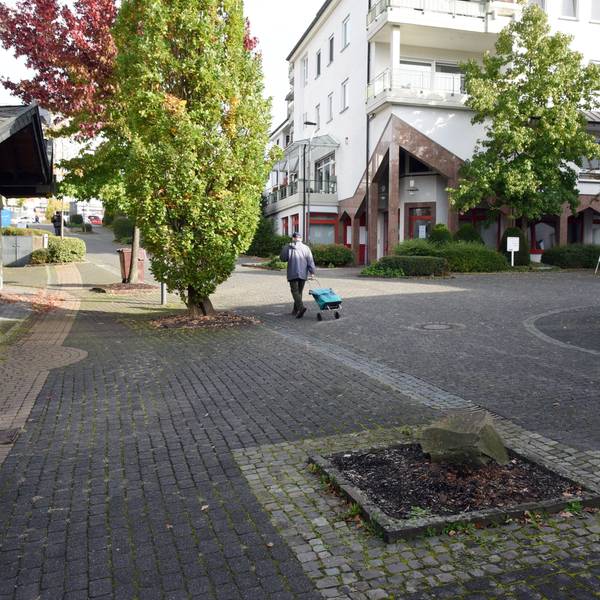Ein Pflanzfeld im Pflaster einer Fußgängerzone.
