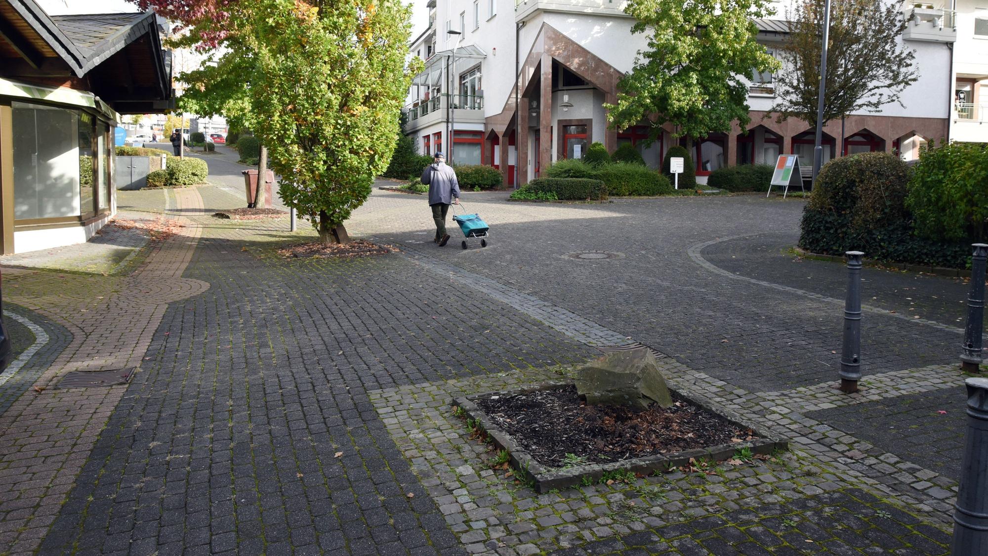 Ein Pflanzfeld im Pflaster einer Fußgängerzone.