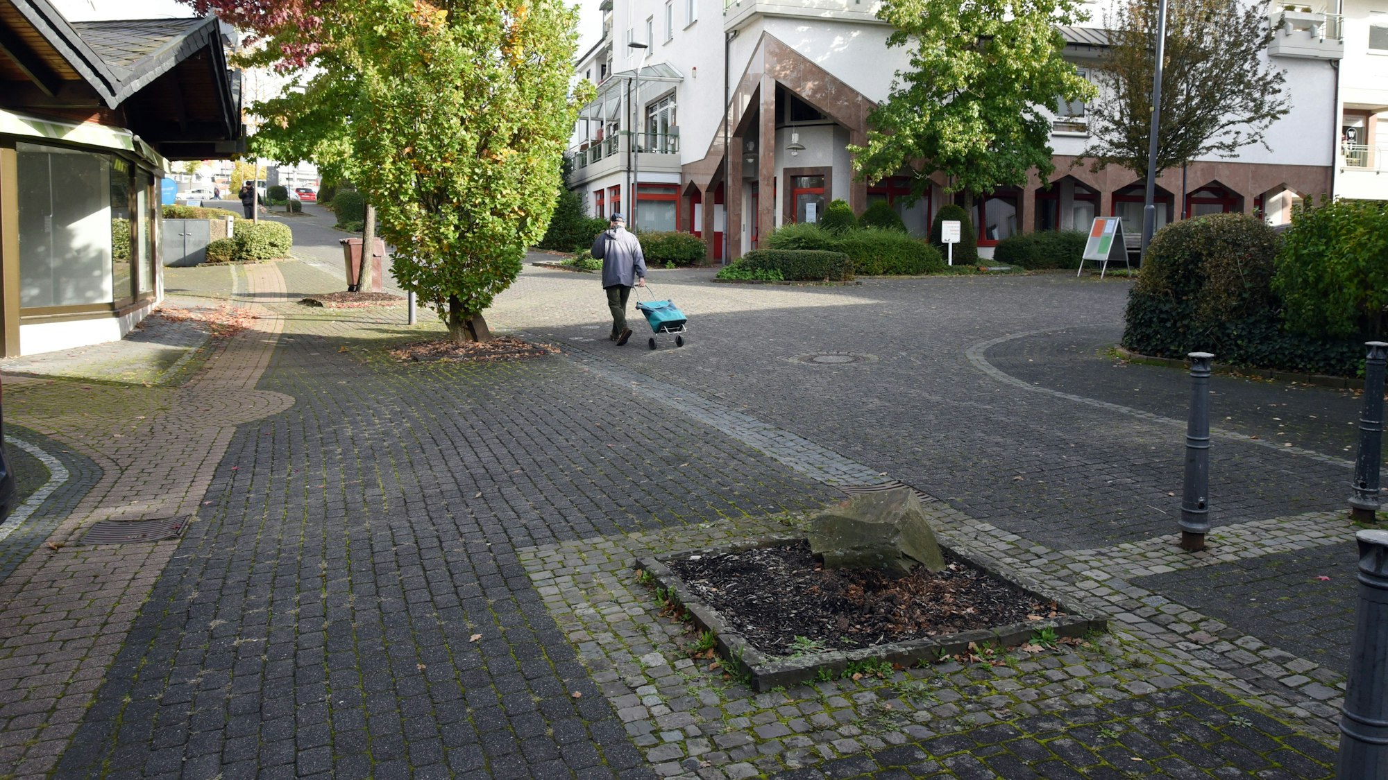 Ein Pflanzfeld im Pflaster einer Fußgängerzone.