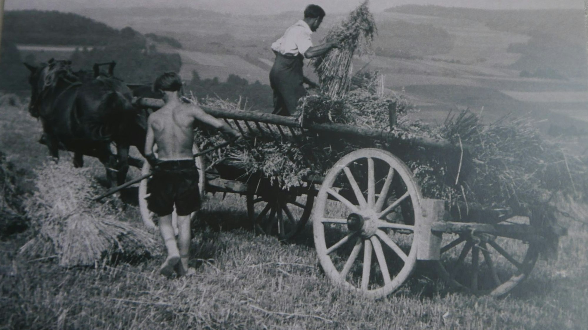 Die Doppelpremiere der ersten ausführlichen Biografie über August Sander, vorstellt von Autorin Dr. Annette Deeken, kombiniert mit einer Ausstellung von erstmals gezeigten Fotografien, die Sanders Schülerin Inge Jansen gemacht hatte