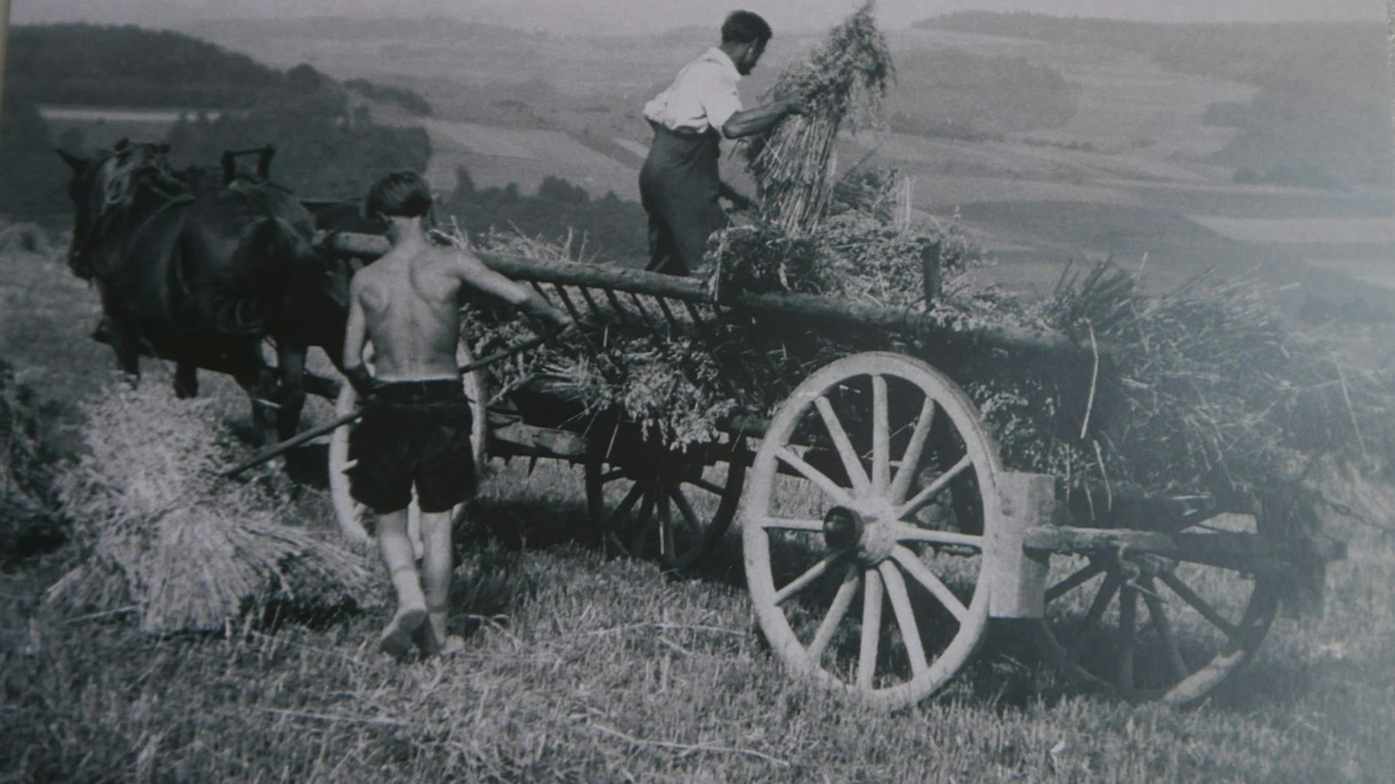 Die Doppelpremiere der ersten ausführlichen Biografie über August Sander, vorstellt von Autorin Dr. Annette Deeken, kombiniert mit einer Ausstellung von erstmals gezeigten Fotografien, die Sanders Schülerin Inge Jansen gemacht hatte