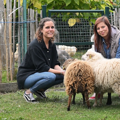 Zwei junge Frauen mit drei kleinen Schafen - zwei mit brauner Wolle, eines mit weißer.