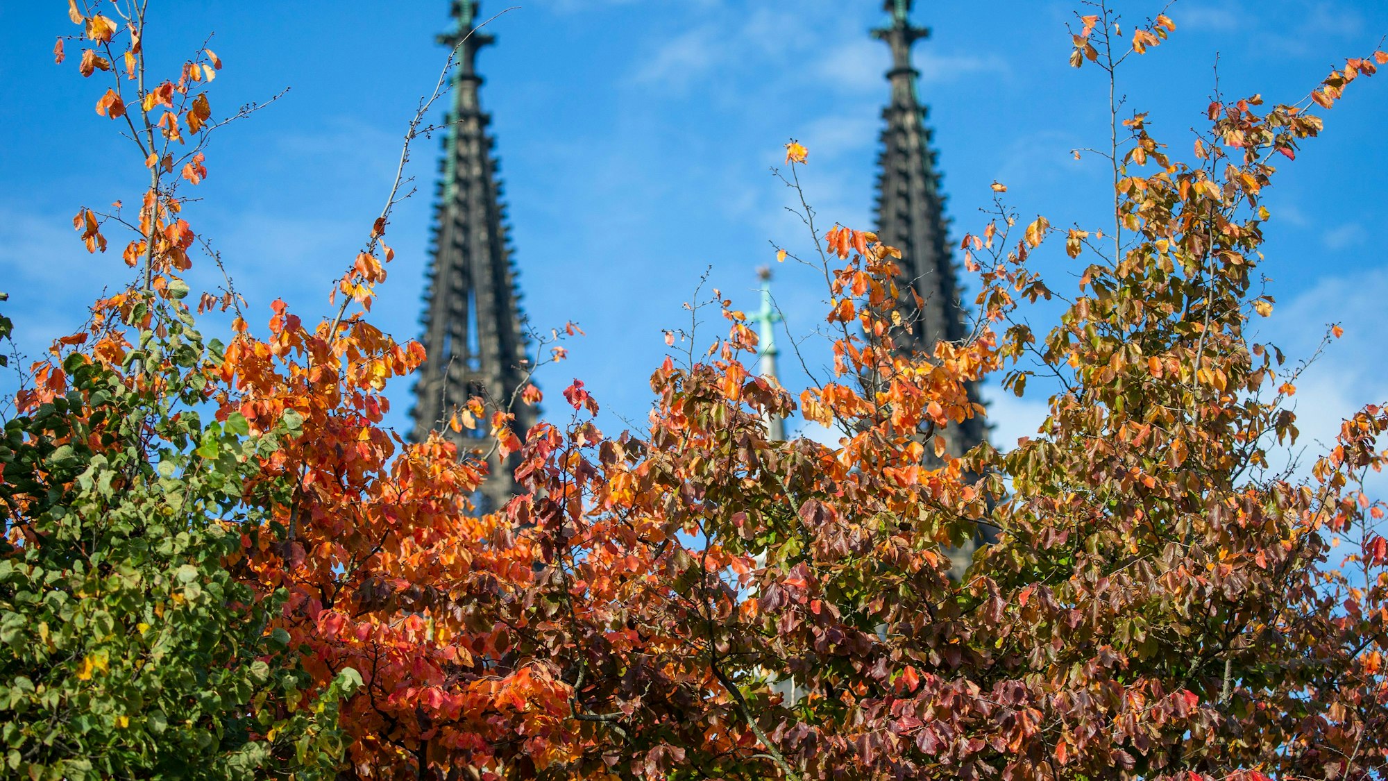 Der Kölner Dom.