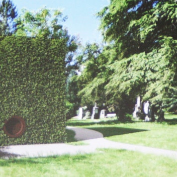 Fotomontage eines Memorial Cubes auf einem Friedhof, ein fast würfelförmiges Gebäude ohne Fenster mit begrünter Fassade.