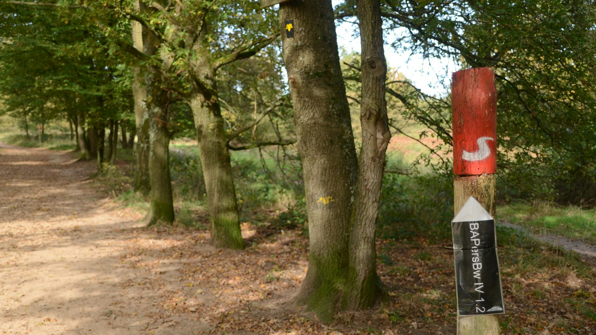 Ein Wanderweg, an einem Baum ist eine kleine schwarz-gelbe Markierung angebracht, an einem Holzpfosten ist der Kopf rot angestrichen.