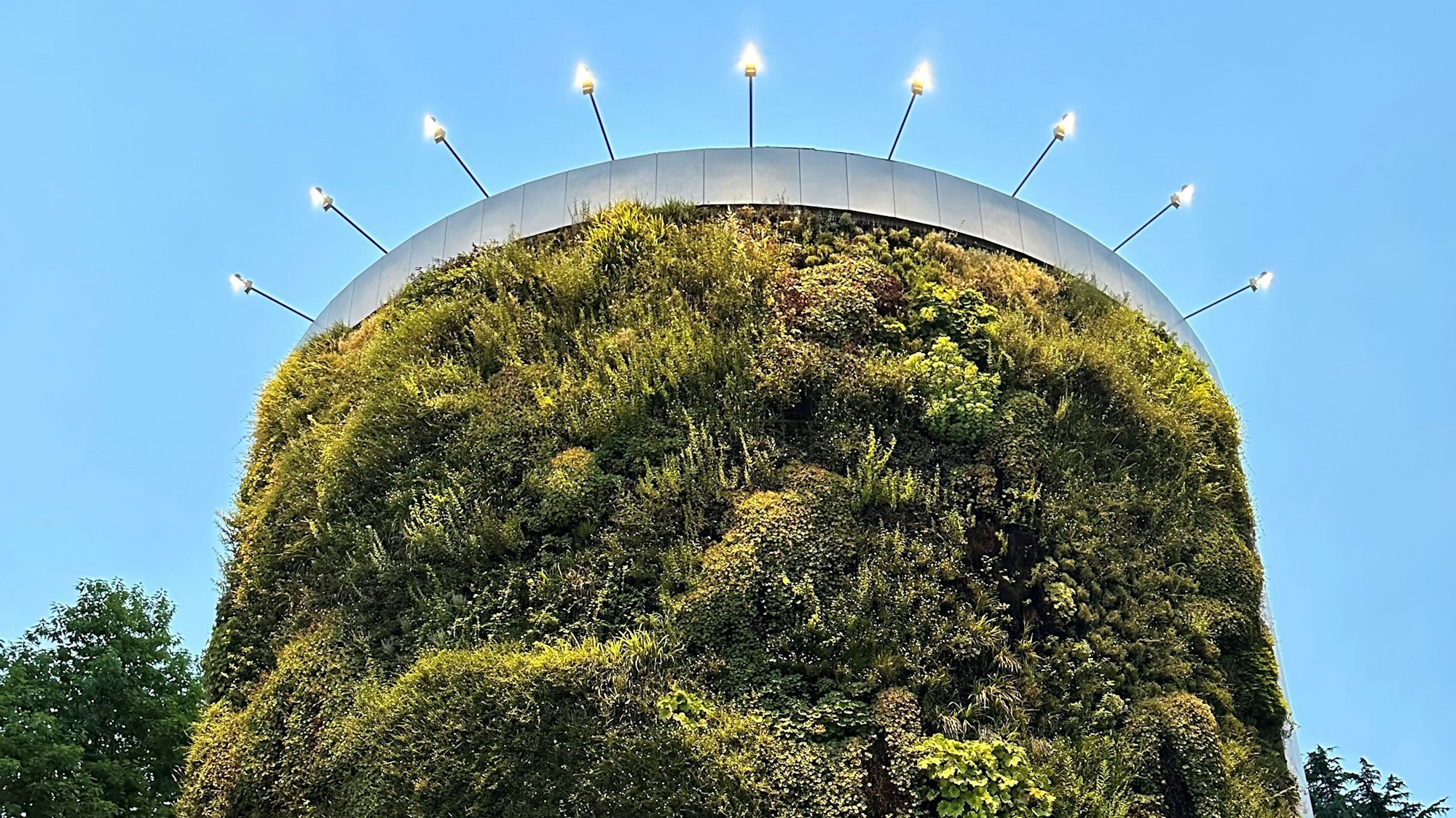 Eine dicht bewachsene Fassade eines Rundbaus.