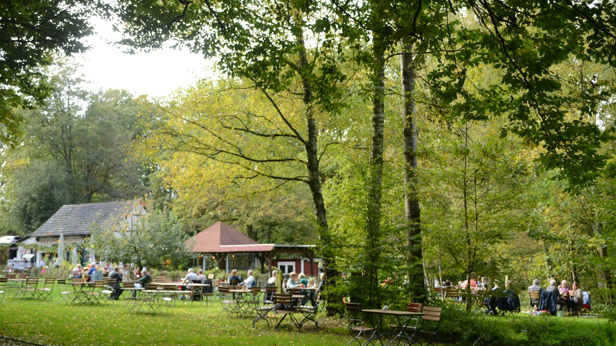 Ein Ausflugslokal auf einer Wiese im Wald. Menschen sitzen an Tischen, die Sonne scheint auf herbstlich gefärbte Bäume.