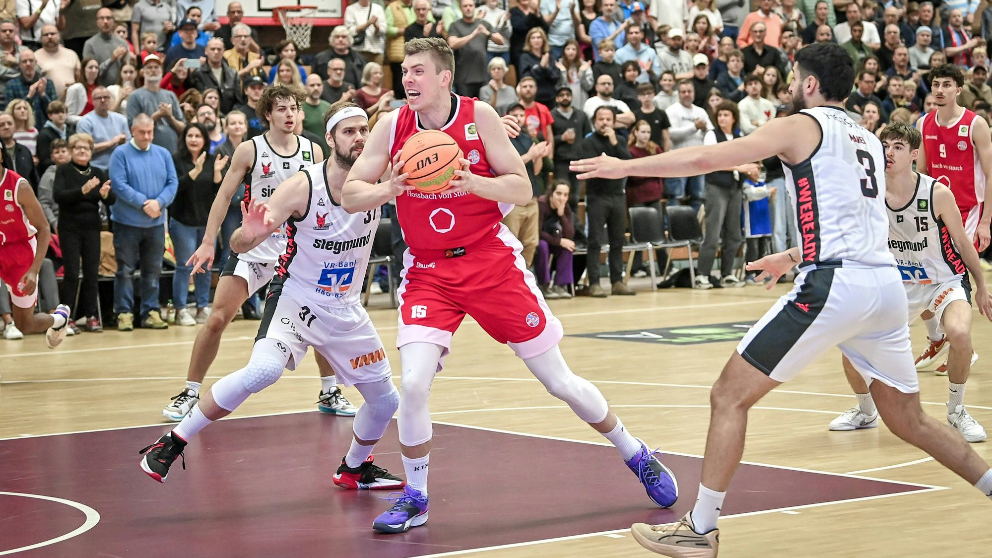 Barmer 2. Basketball Bundesliga ProB: Rheinstars Koeln vs. BG Hessing Leitershofen, 19.10.2024 Bjoern Rohwer RheinStars Koeln 15, Barmer 2. Basketball Bundesliga ProB: Rheinstars Koeln vs. BG Hessing Leitershofen am 19.10.2024 im ASV Koeln in Koeln Nordrhein-Westfalen *** Barmer 2 Basketball Bundesliga ProB Rheinstars Koeln vs BG Hessing Leitershofen, 19 10 2024 Bjoern Rohwer RheinStars Koeln 15 , Barmer 2 Basketball Bundesliga ProB Rheinstars Koeln vs BG Hessing Leitershofen on 19 10 2024 at ASV Koeln in Koeln North Rhine-Westphalia Copyright: xBEAUTIFULxSPORTS/Mueller-Laschetx