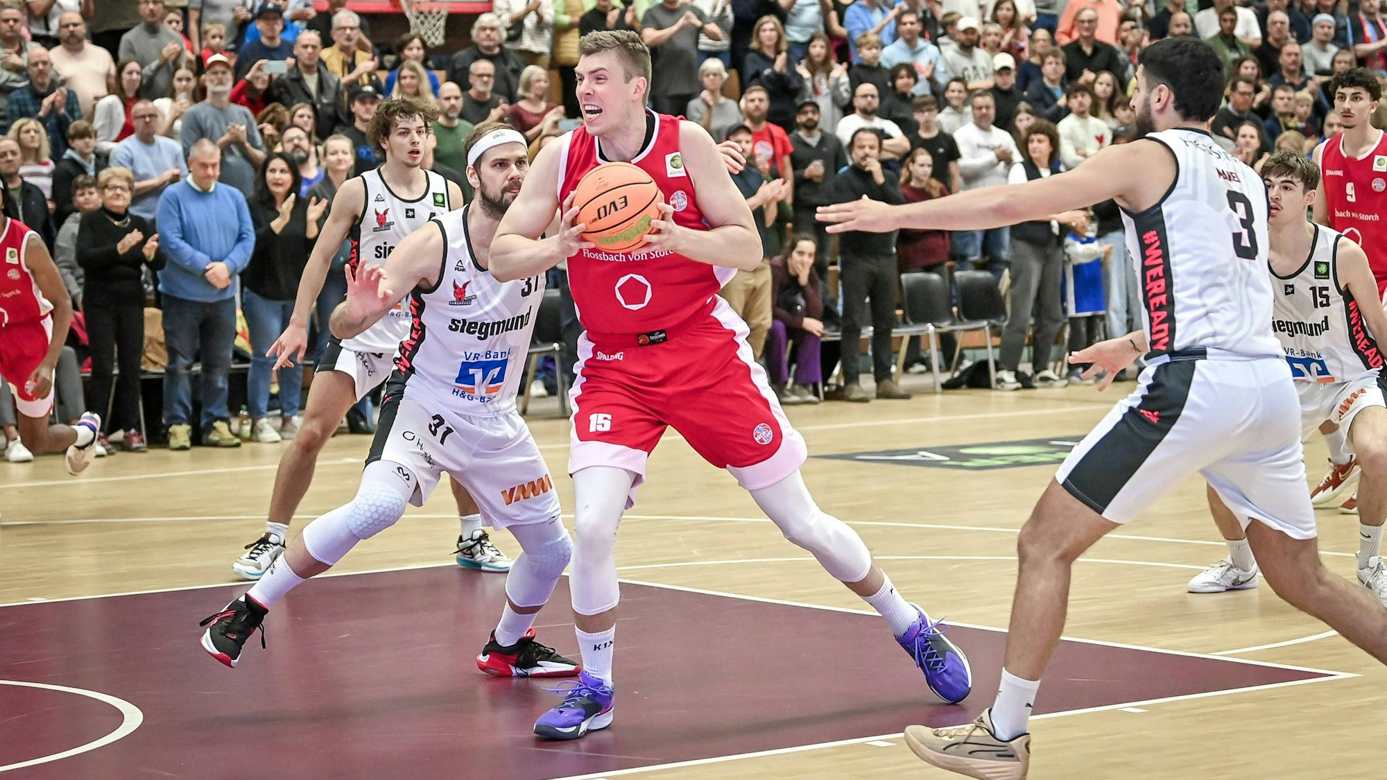Barmer 2. Basketball Bundesliga ProB: Rheinstars Koeln vs. BG Hessing Leitershofen, 19.10.2024 Bjoern Rohwer RheinStars Koeln 15, Barmer 2. Basketball Bundesliga ProB: Rheinstars Koeln vs. BG Hessing Leitershofen am 19.10.2024 im ASV Koeln in Koeln Nordrhein-Westfalen *** Barmer 2 Basketball Bundesliga ProB Rheinstars Koeln vs BG Hessing Leitershofen, 19 10 2024 Bjoern Rohwer RheinStars Koeln 15 , Barmer 2 Basketball Bundesliga ProB Rheinstars Koeln vs BG Hessing Leitershofen on 19 10 2024 at ASV Koeln in Koeln North Rhine-Westphalia Copyright: xBEAUTIFULxSPORTS/Mueller-Laschetx