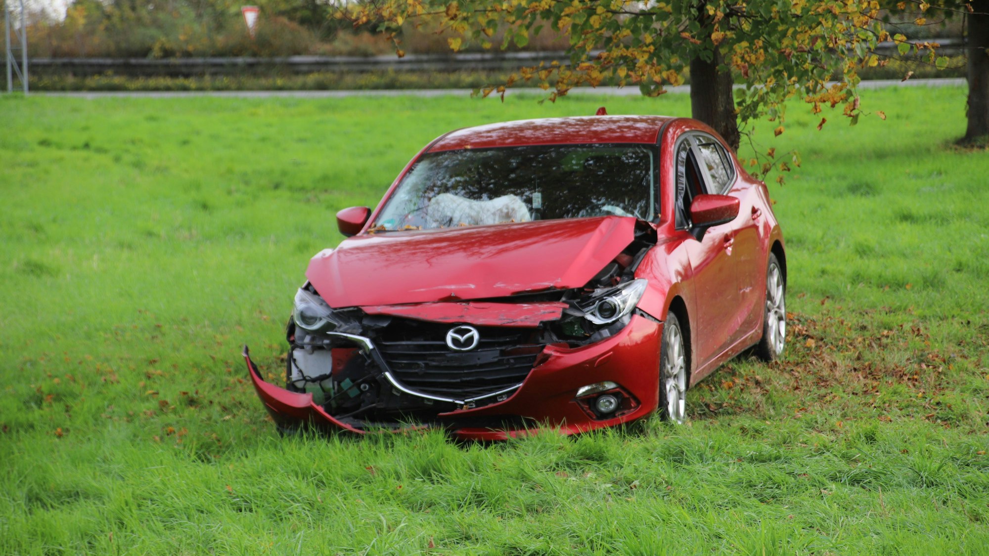 Ein demoliertes Auto steht auf einer Grünfläche vor einem Baum.