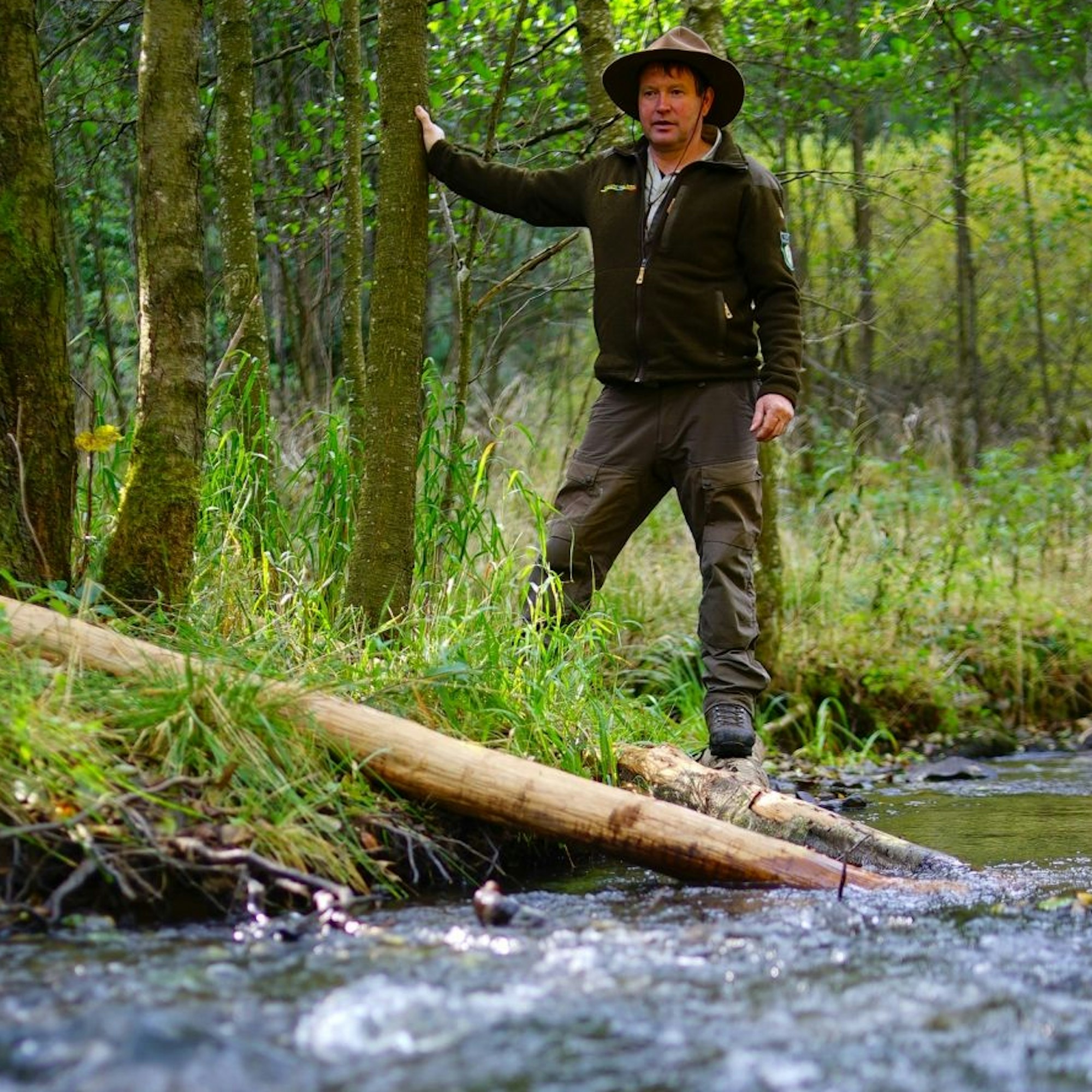 Ein Ranger steht an einem Bach, in dem Baumstämme als „Strömungslenker“ liegen.