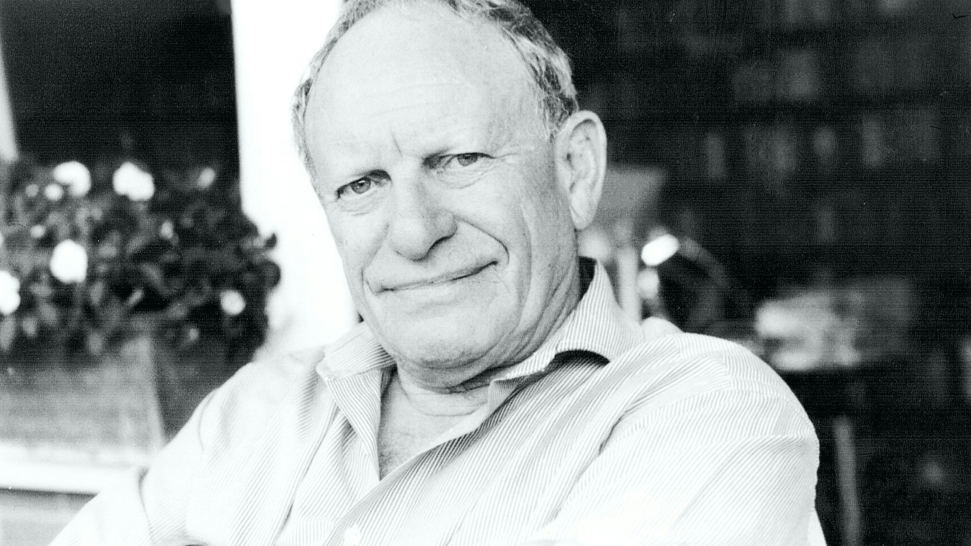 Autor Peter Meisenberg