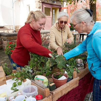 Franziska Koch, Andrea Künne und Gisela Ellgoth (von links) stehen an einem Tisch, auf dem sich verschiedene Pflanzen befinden.