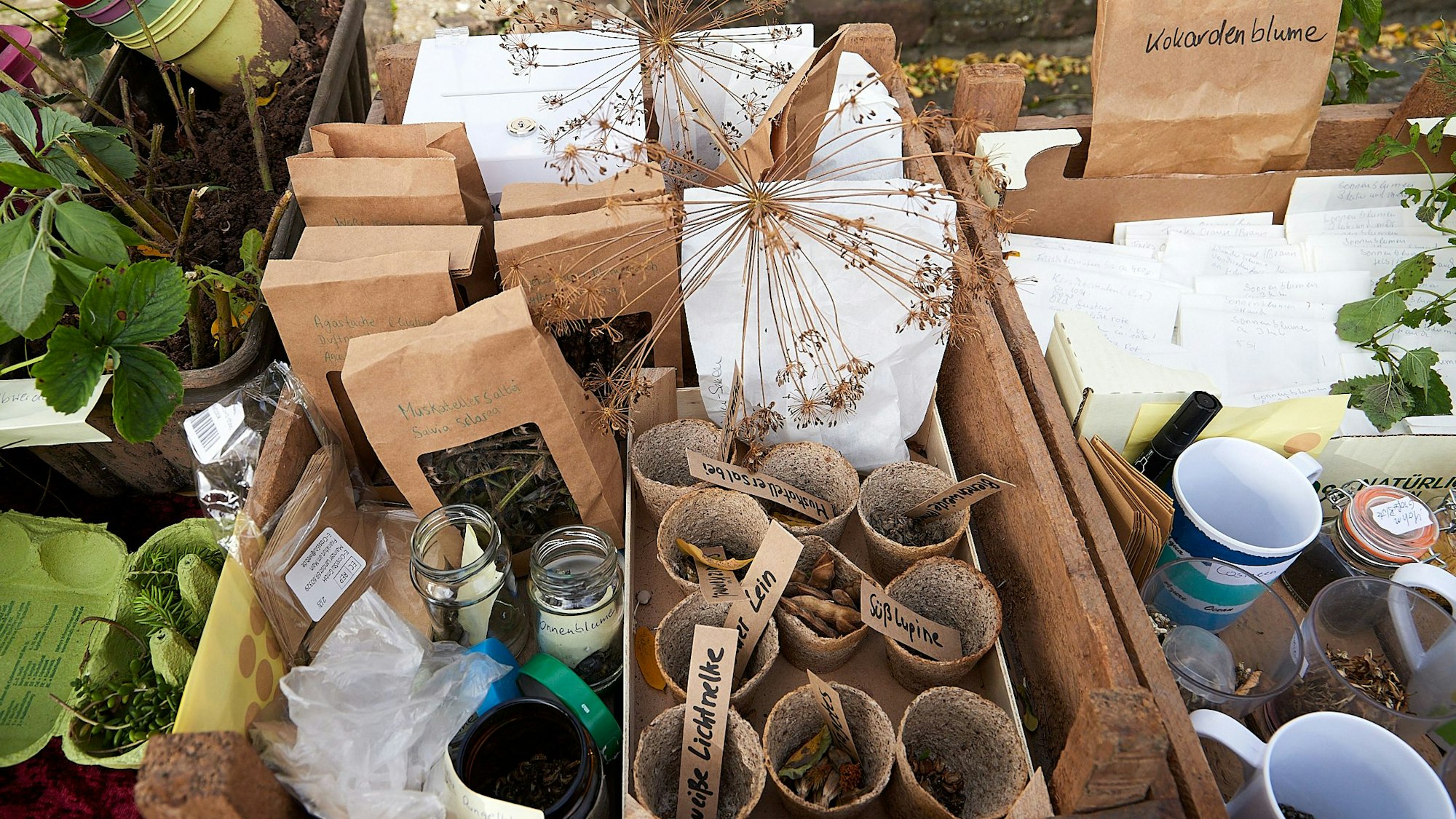 Verschiedene Stecklinge, Samen und Pflanzen werden in Tüten, Gläsern und Pflanzgefäßen angeboten.