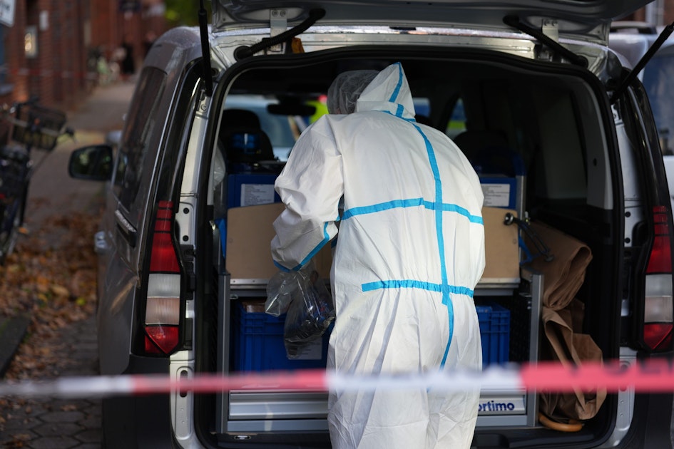 Entsetzen In Steglitz Mann Hauste Auf Gelände Die Schockierenden Details Der Funde - z1zfihh