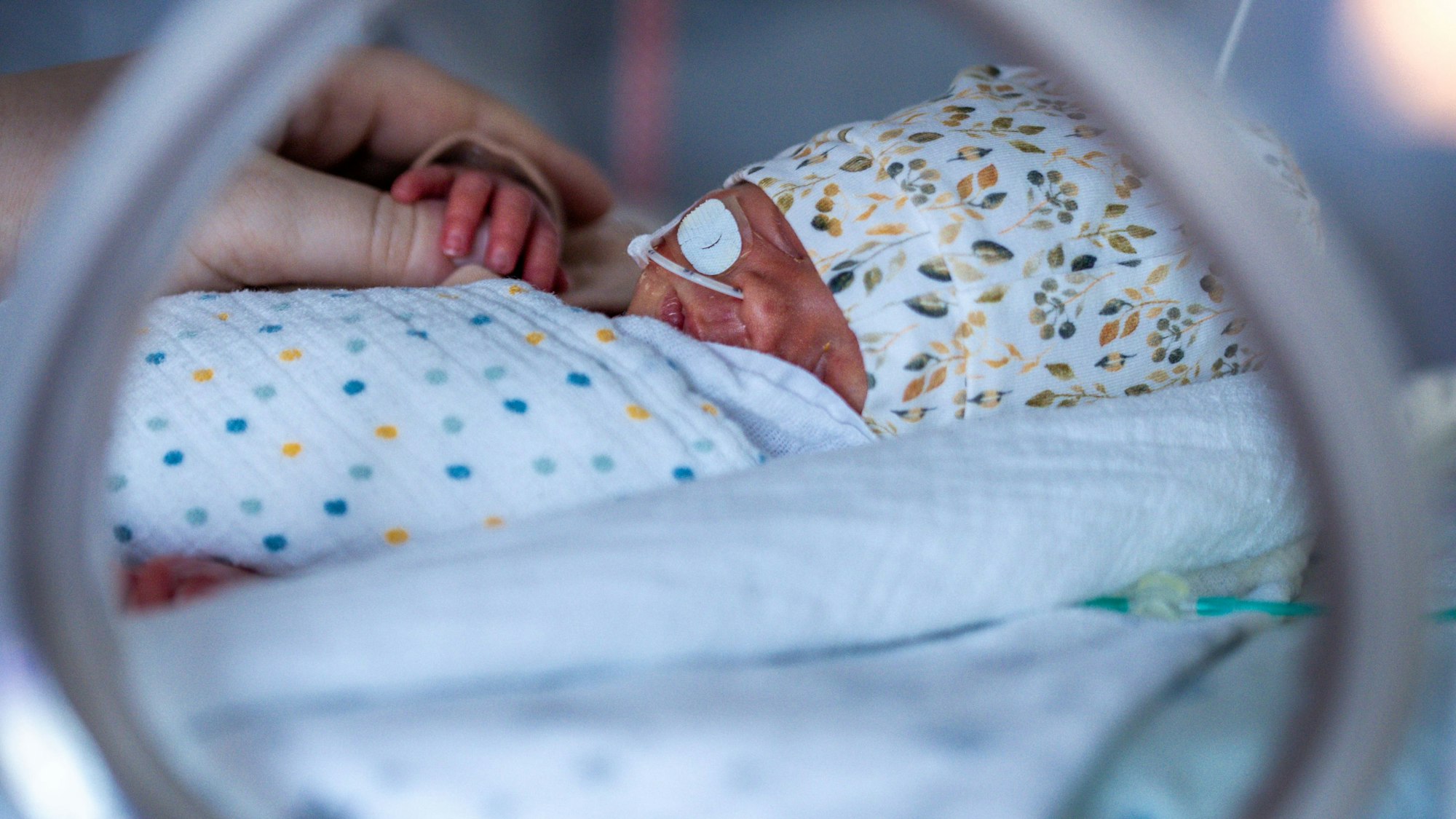 Ein Frühgeborenes in einem Inkubator.