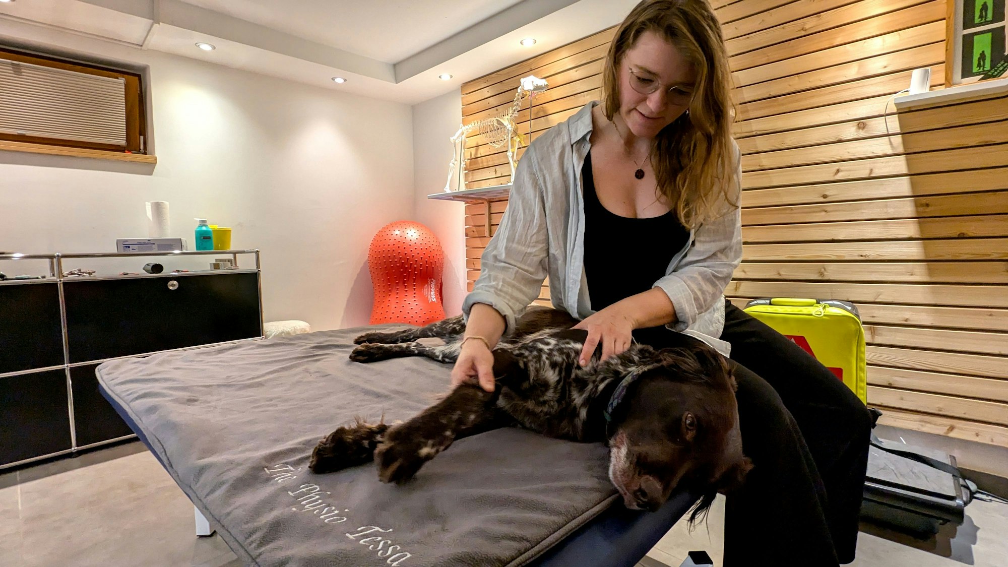Tessa Riedling untersucht Deutsch-Langhaar-Hündin Milly in ihrer Physiotherapie-Praxis in Katzvey.