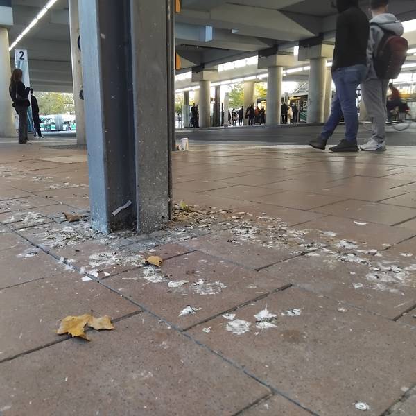 Der Dreck durch Tauben am Siegburger Bahnhof soll durch den Taubenwagen eingedämmt werden.