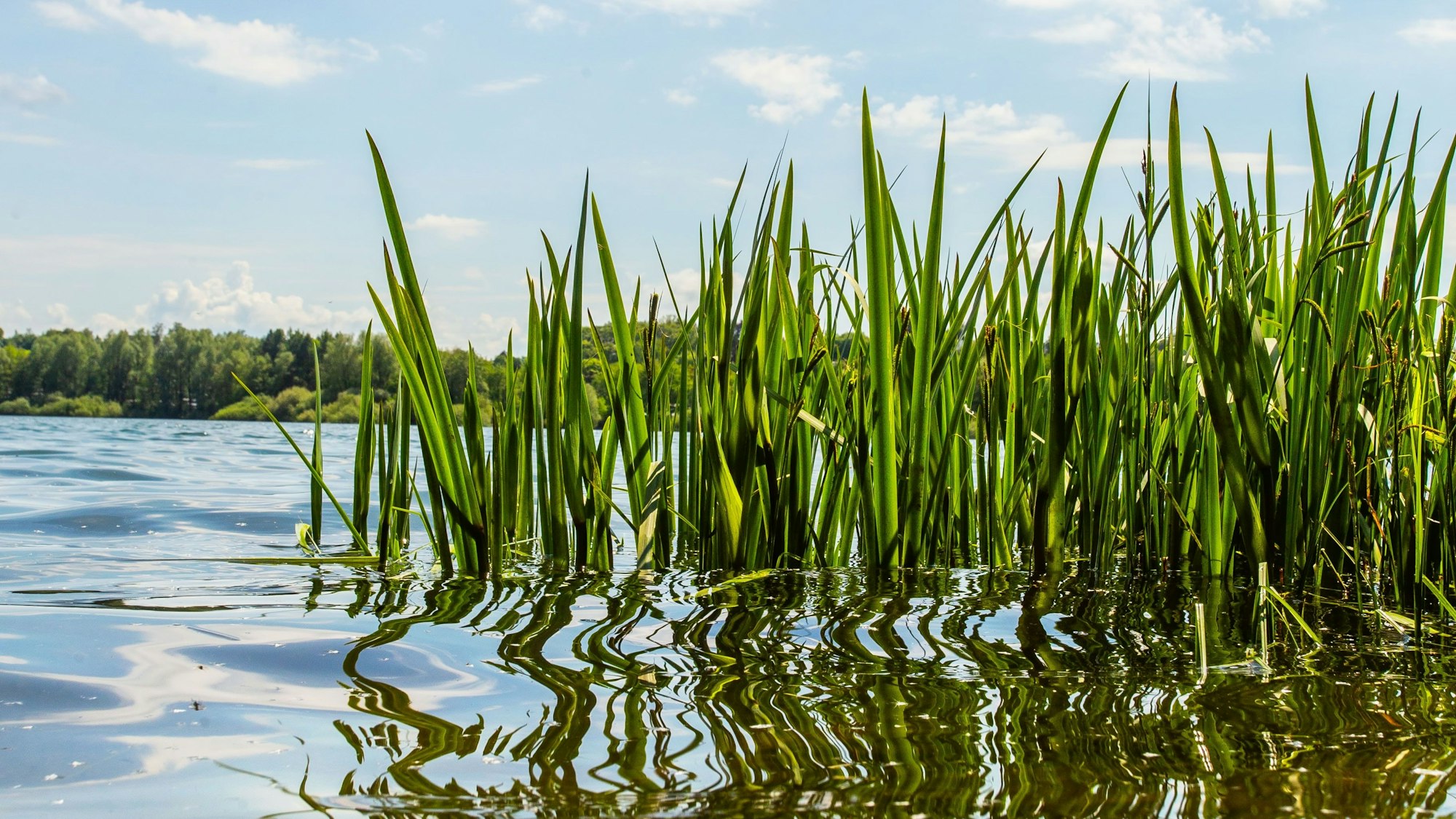 Das Foto zeigt ein Detail der Brucher Talsperre.