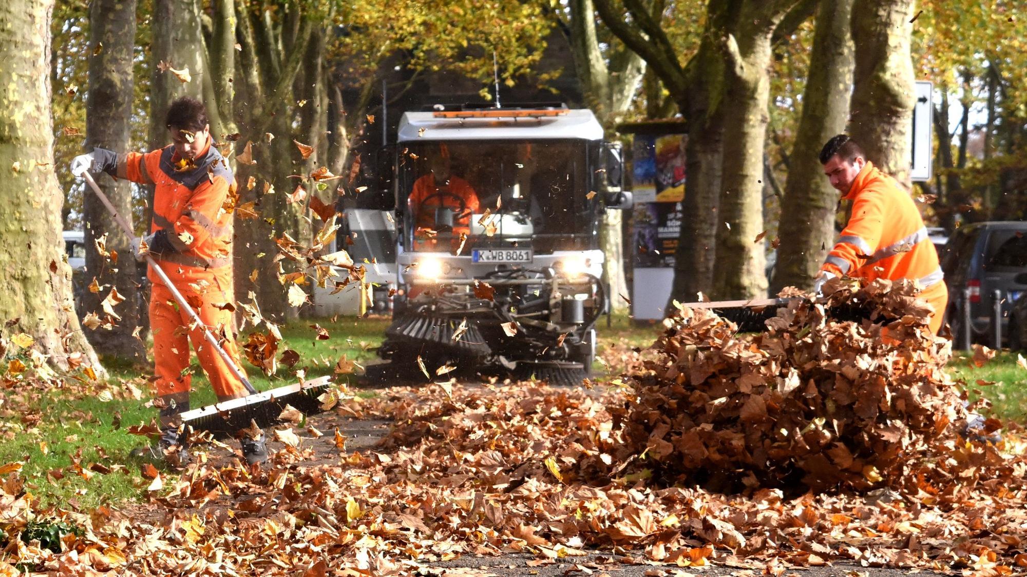 AWB-Mitarbeiter entsorgen große Mengen Laub.