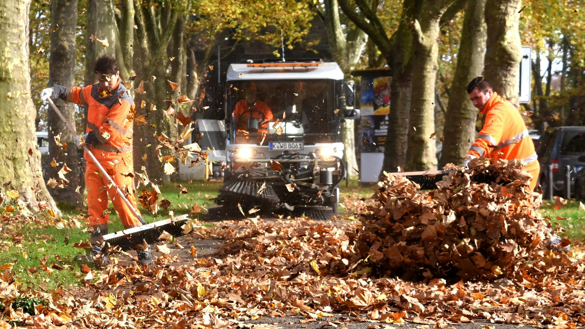 AWB-Mitarbeiter entsorgen große Mengen Laub.