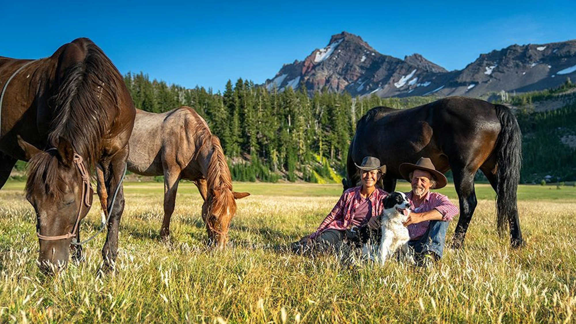 Das Bild zeigt zwei Menschen mit Cowboy-Hüten, einen Hund sowie drei Pferde vor einem Berg-Panorama.