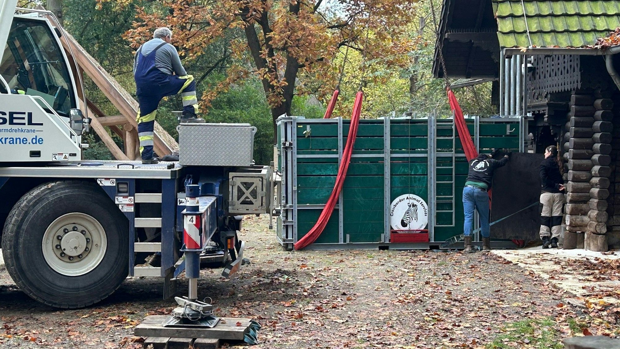 Ein großer Moment: Hazina darf aus ihrer Transportkiste in ihr neues Zuhause.