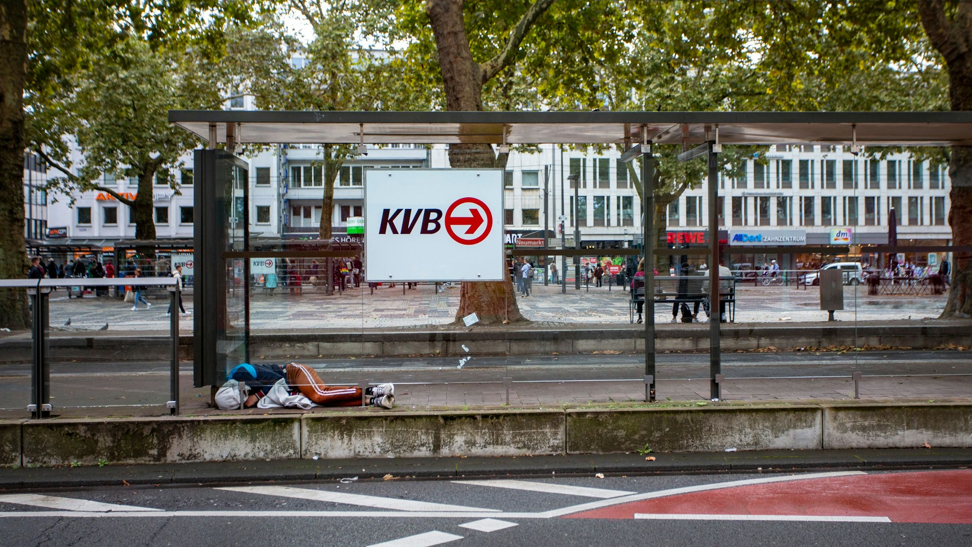 Sowohl die Verwahrlosung der Stadt, als auch die Probleme im Nahverkehr belasten die Kölner.