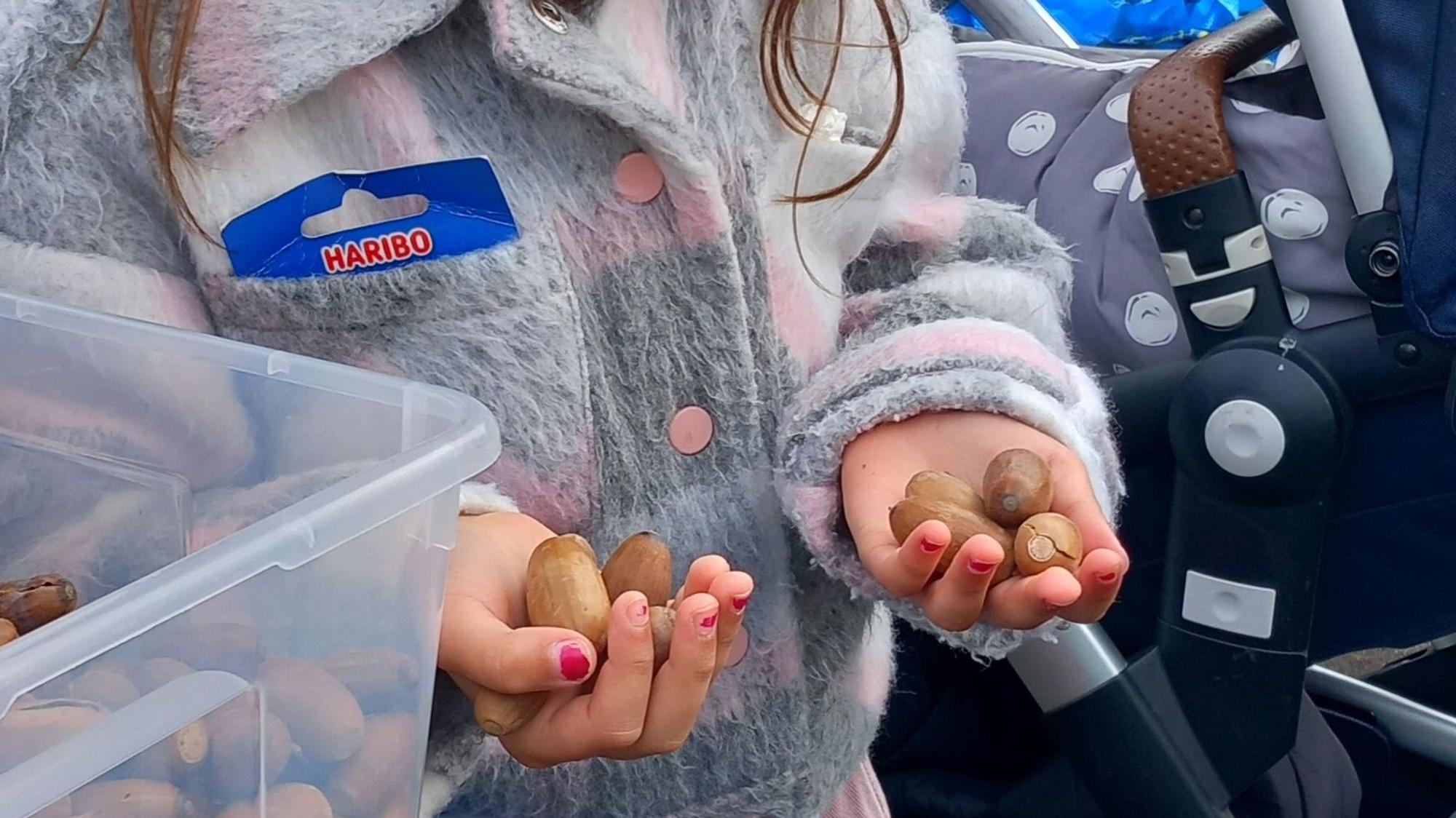 Kastanienaktion bei Haribo. Nilay Sarrac mit Eicheln aus dem Kindergarten Apfelbaum in Wesseling.