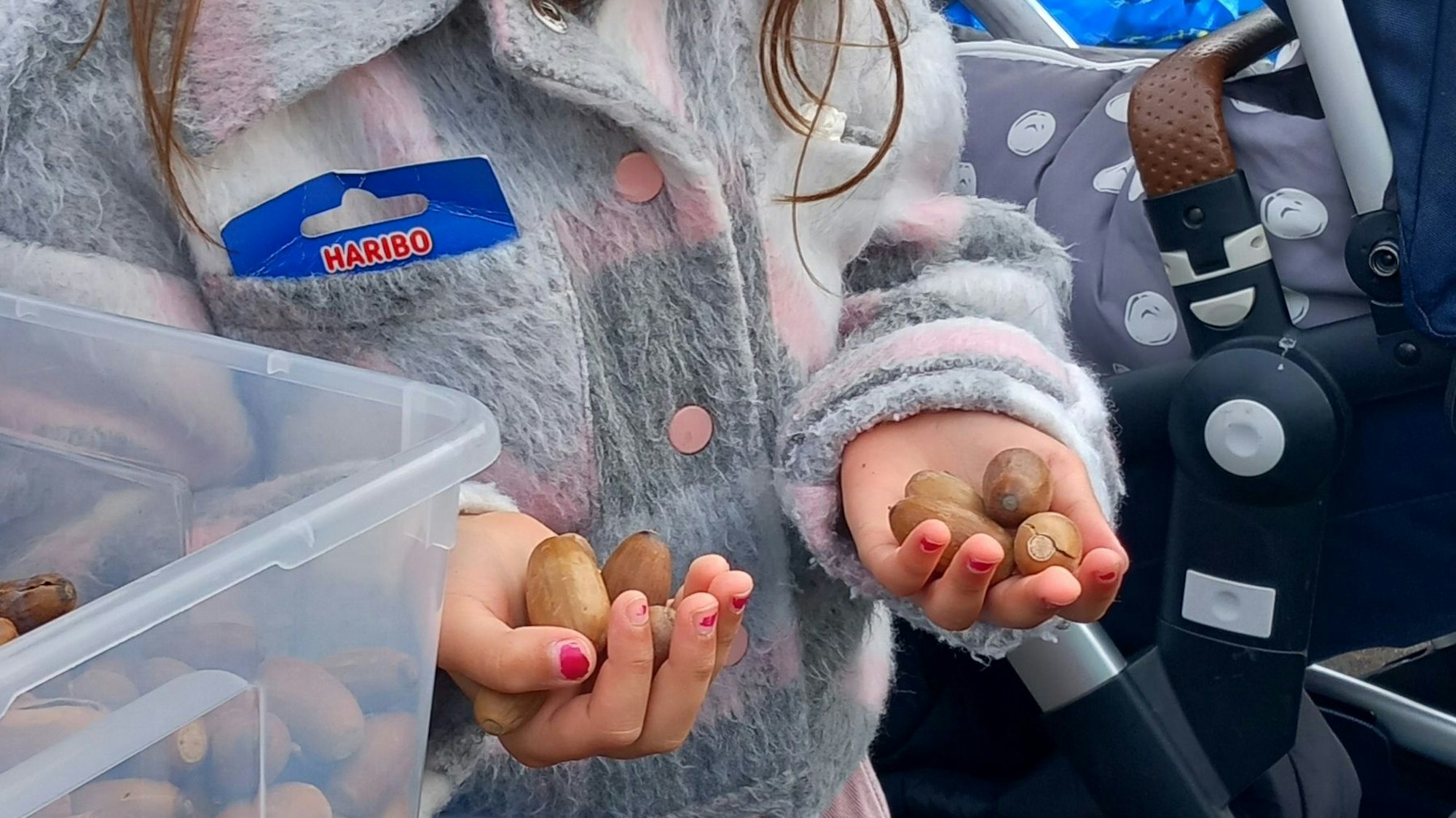 Kastanienaktion bei Haribo. Nilay Sarrac mit Eicheln aus dem Kindergarten Apfelbaum in Wesseling.