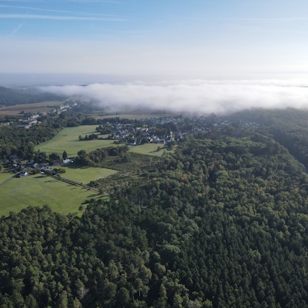 Das Bild zeigt den Wald zwischen Strempt und Mechernich aus der Luft.
