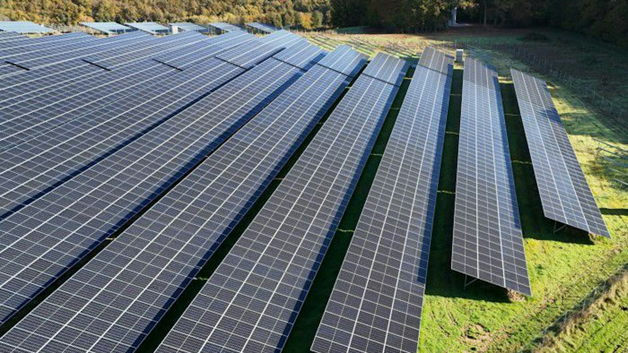 Das Foto zeigt eine PV-Anlage mit in Reihen angeordneten Solarmodulen.