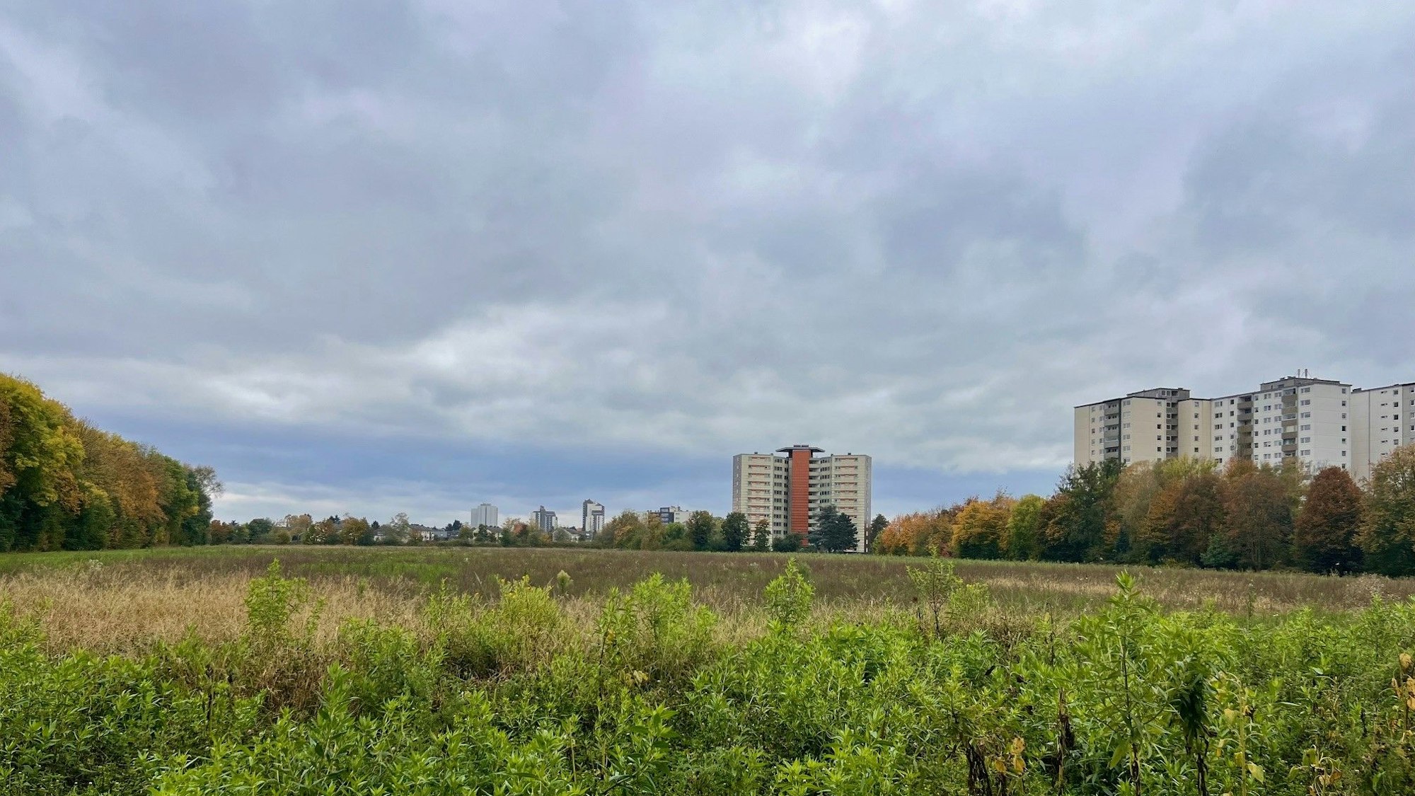 Eine landwirtschaftlich genutzte Fläche in Porz-Urbach.