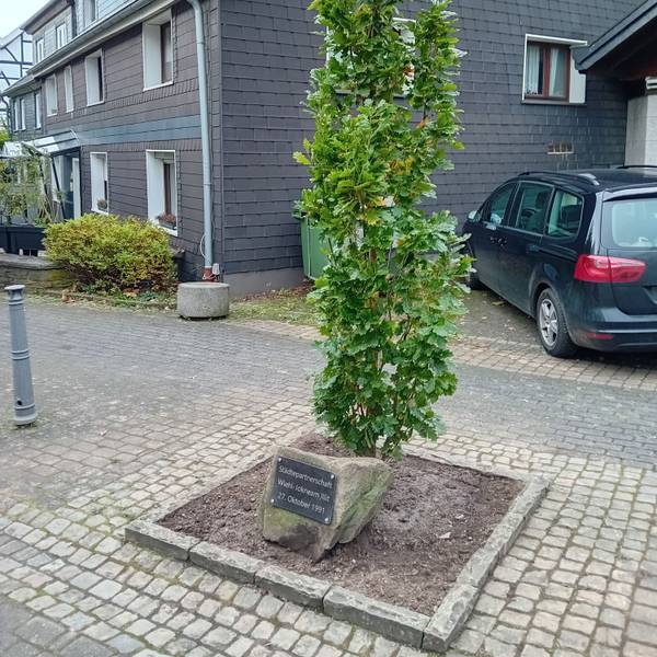 Ein neuer Baum neben dem Gedenkstein würdigt die Partnerschaft mit Jokneam.