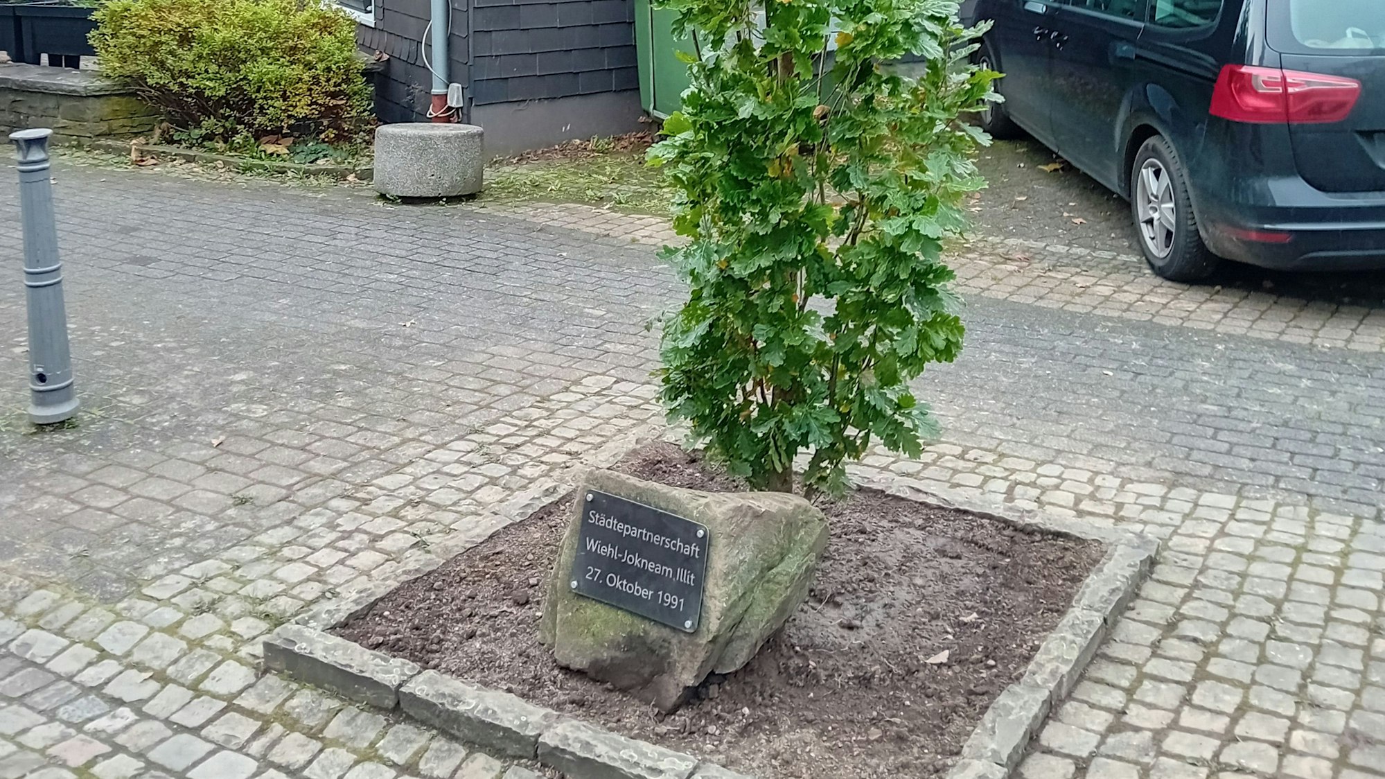 Ein neuer Baum neben dem Gedenkstein würdigt die Partnerschaft mit Jokneam.