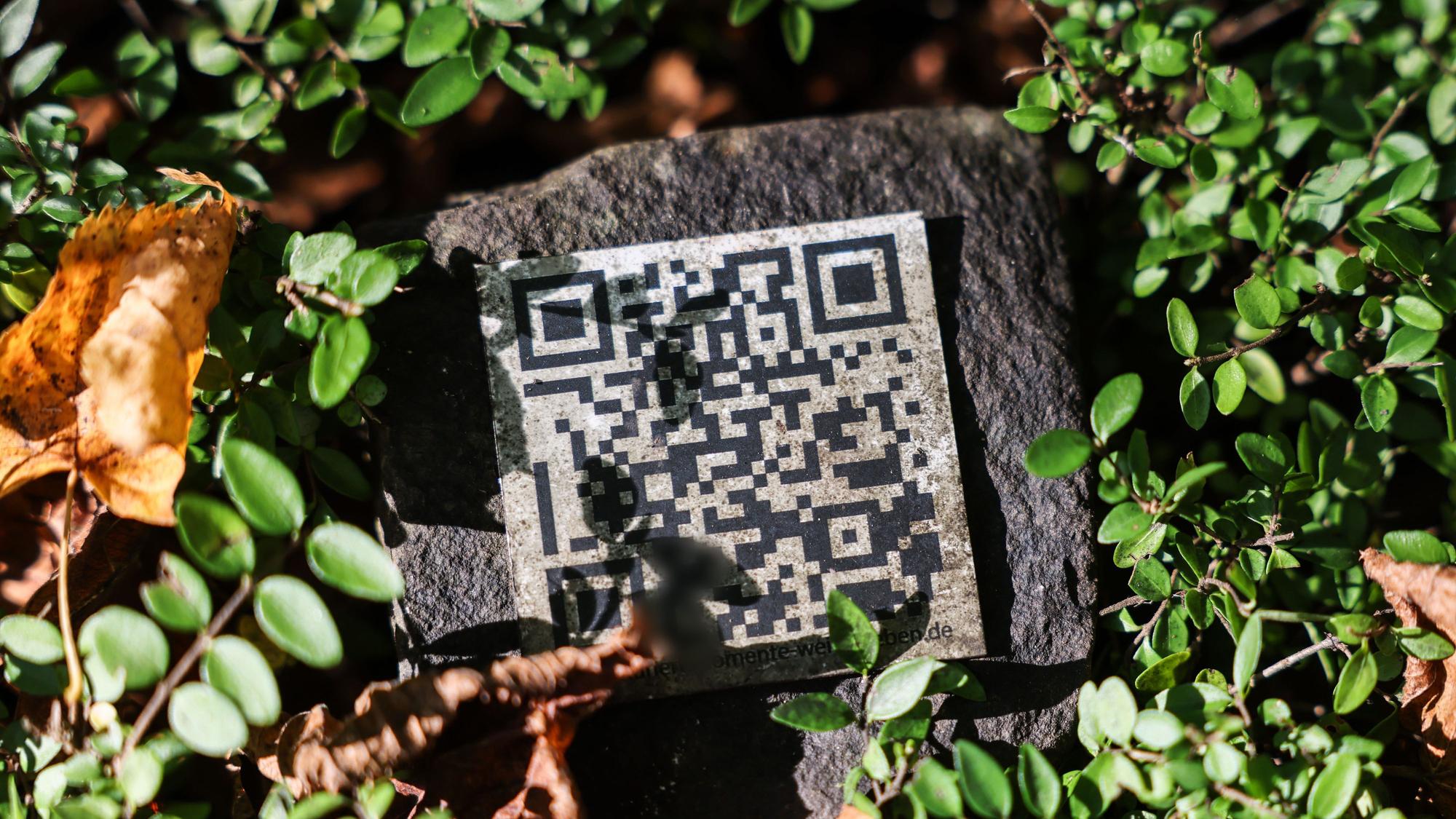 Ein QR-Code liegt zwischen Pflanzen auf einer Grabstätte auf dem Melaten Friedhof in Köln. Foto: Oliver Berg/dpa
