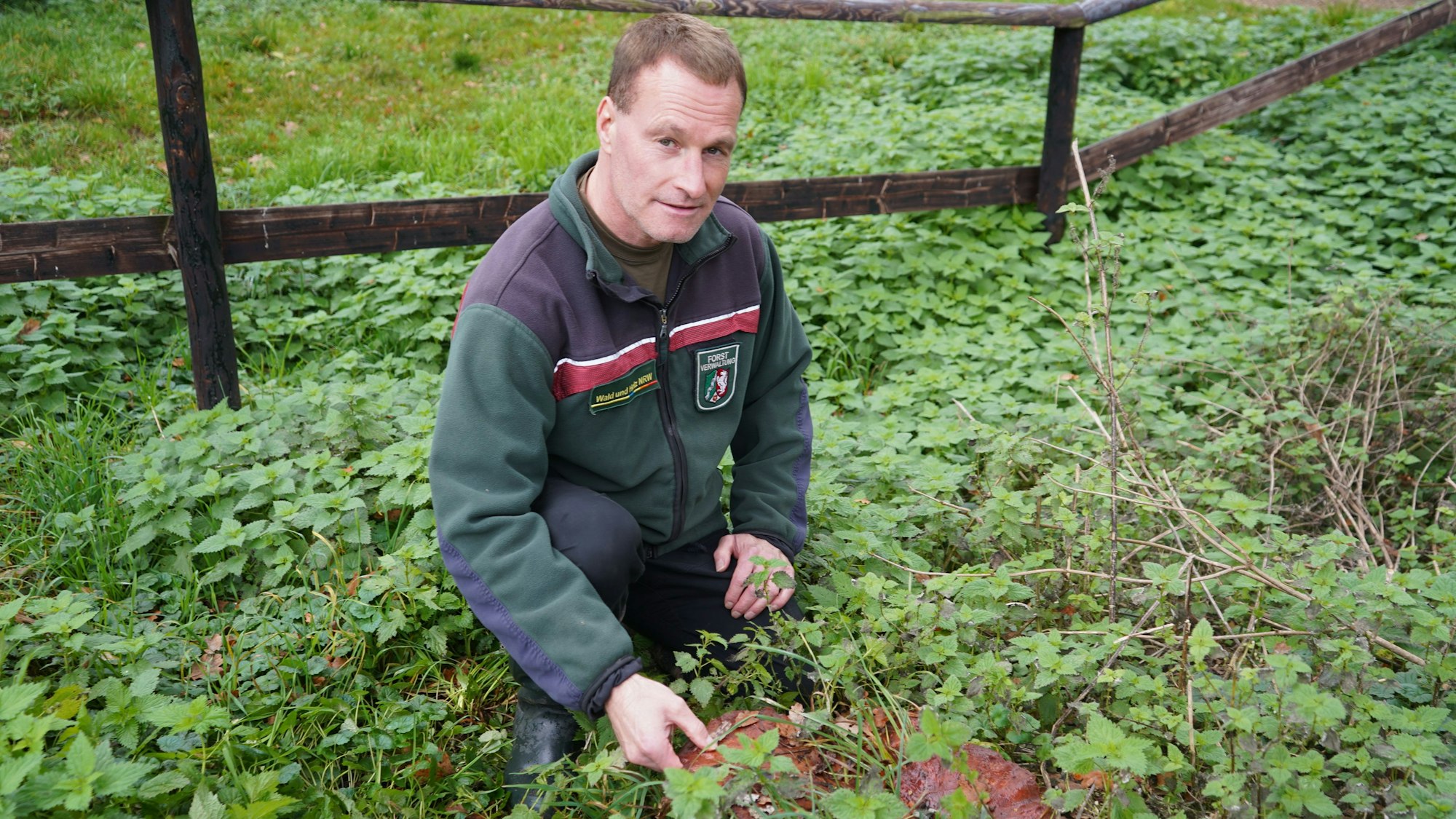 Das Foto zeigt einen Förster, der auf einen großen Pilz zeigt.