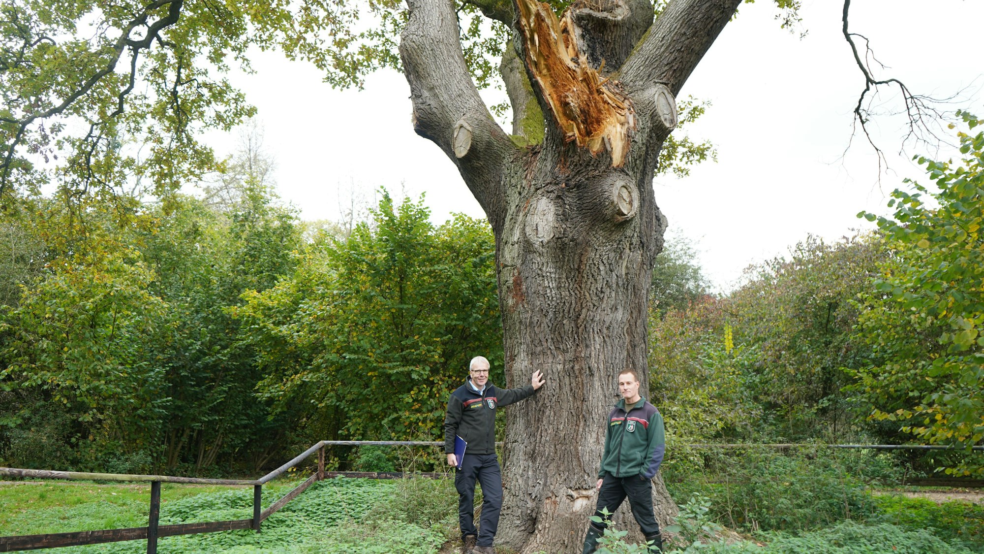 Das Foto zeigt zwei Männer vor einem großen Baum, aus dem ein Ast herausgebrochen ist.