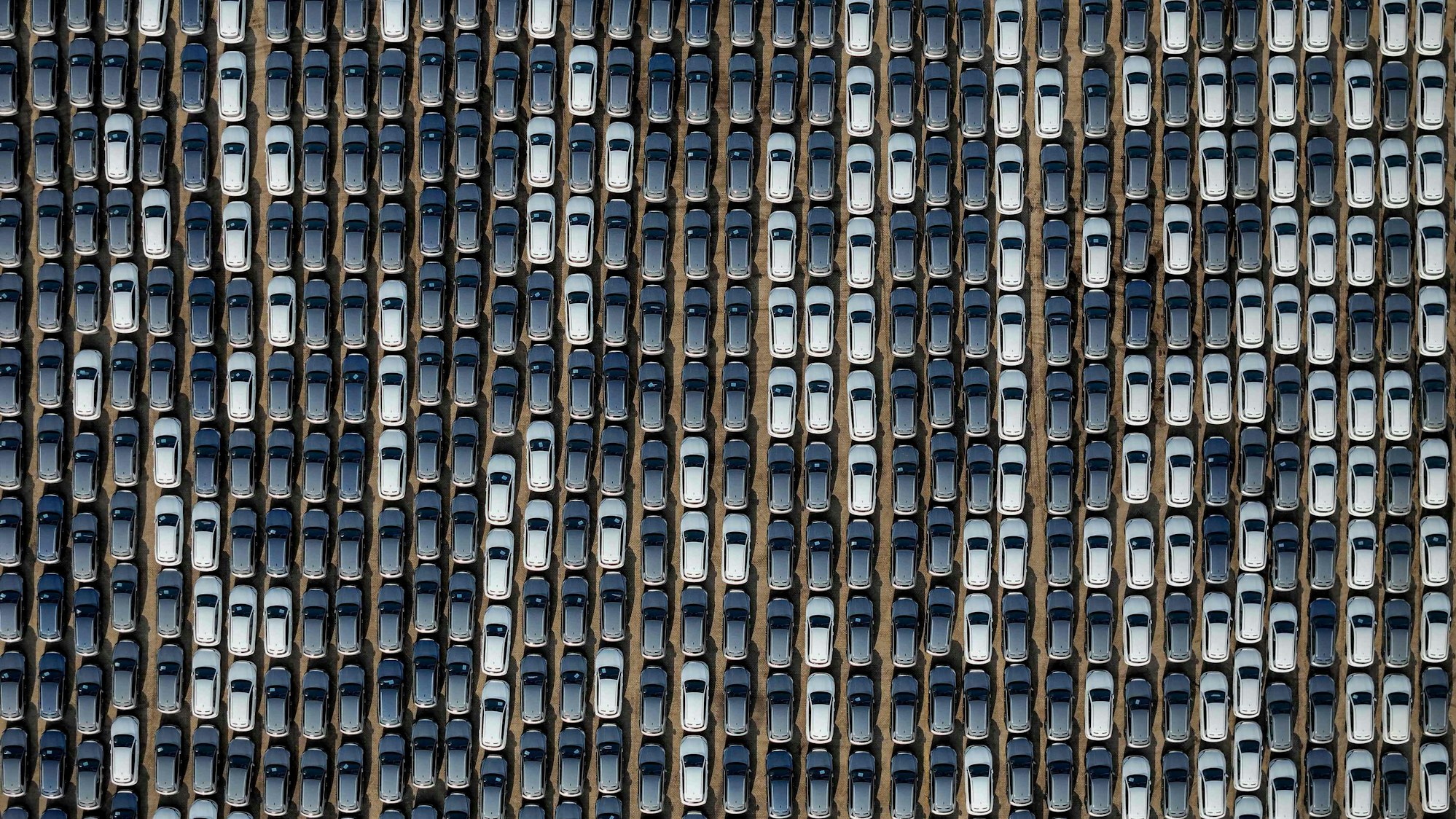 Frisch importierte Neuwagen des Herstellers BYD im Hafen von Bremerhaven: Flutet China die EU mit billigen E-Autos, wie Kommissionschefin Ursula von der Leyen befürchtet?