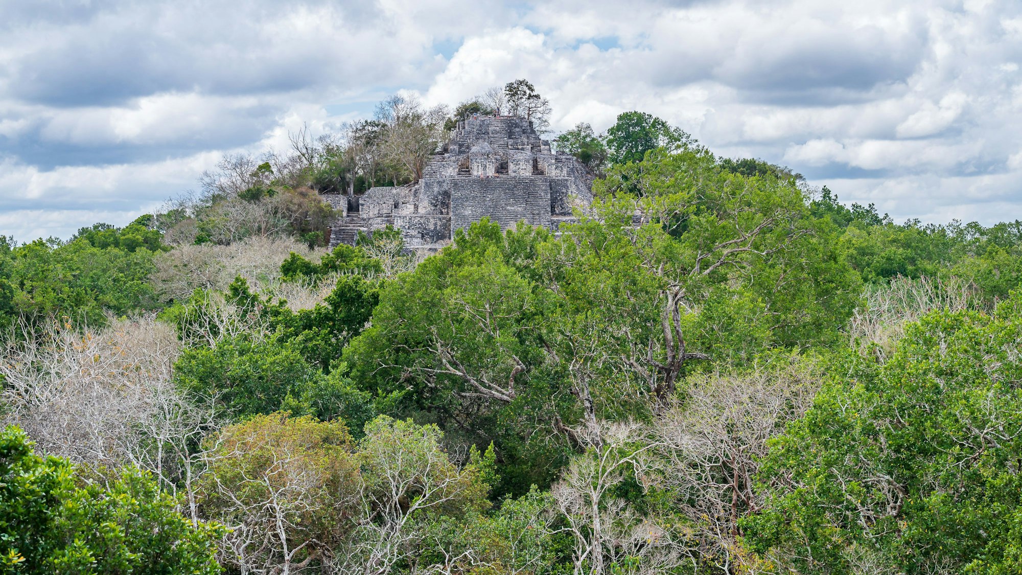Maya-Ruinen der archäologischen Stätte Calakmul mitten im Dschungel.