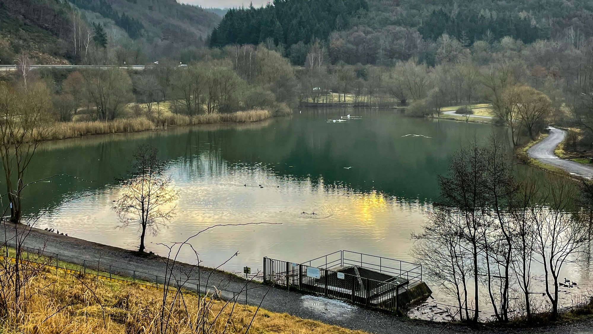 Das Hochwasser-Rückhaltebecken in Eicherscheid.