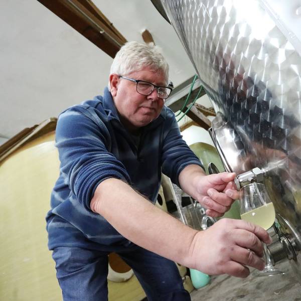 Winzer Bernd Blöser mit neuem Wein der Ernte 2024, der noch im Fass reifen kann. Er zapft gerade ein Glas aus dem Fass ab. Der junge Wein ist noch trüb.