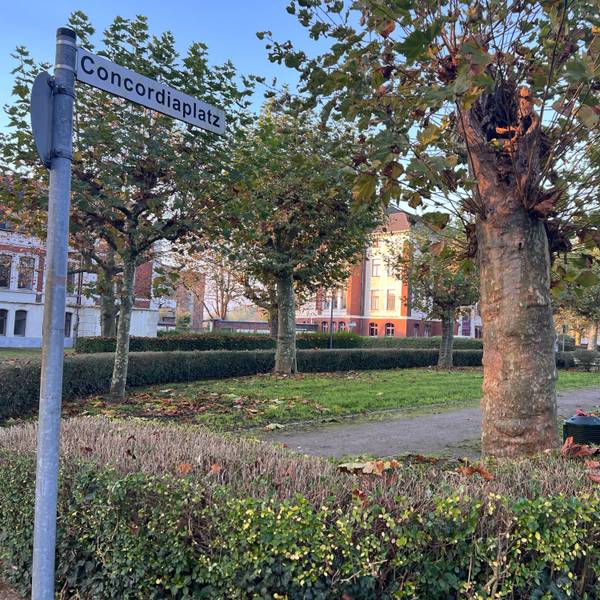 Mit Finanzmitteln der Kölner Grün Stiftung könnte der Concordiaplatz in Porz aufgewertet werden.