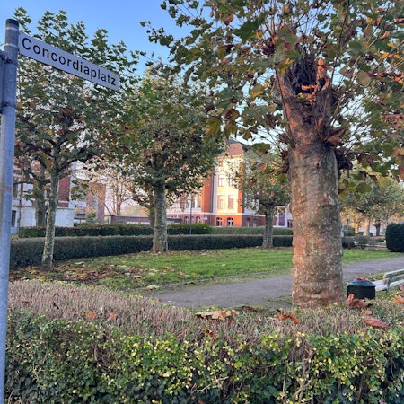 Mit Finanzmitteln der Kölner Grün Stiftung könnte der Concordiaplatz in Porz aufgewertet werden.