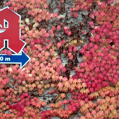 Apotheker prognostiziert, dass der Weg zur nächsten Apotheke bald deutlich länger als 20 Meter sein wird.