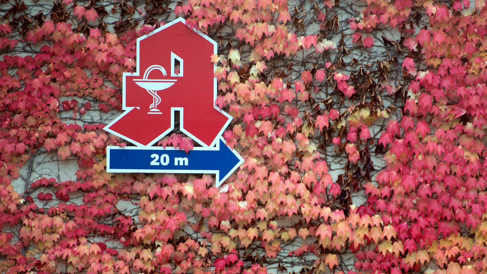 Apotheker prognostiziert, dass der Weg zur nächsten Apotheke bald deutlich länger als 20 Meter sein wird.