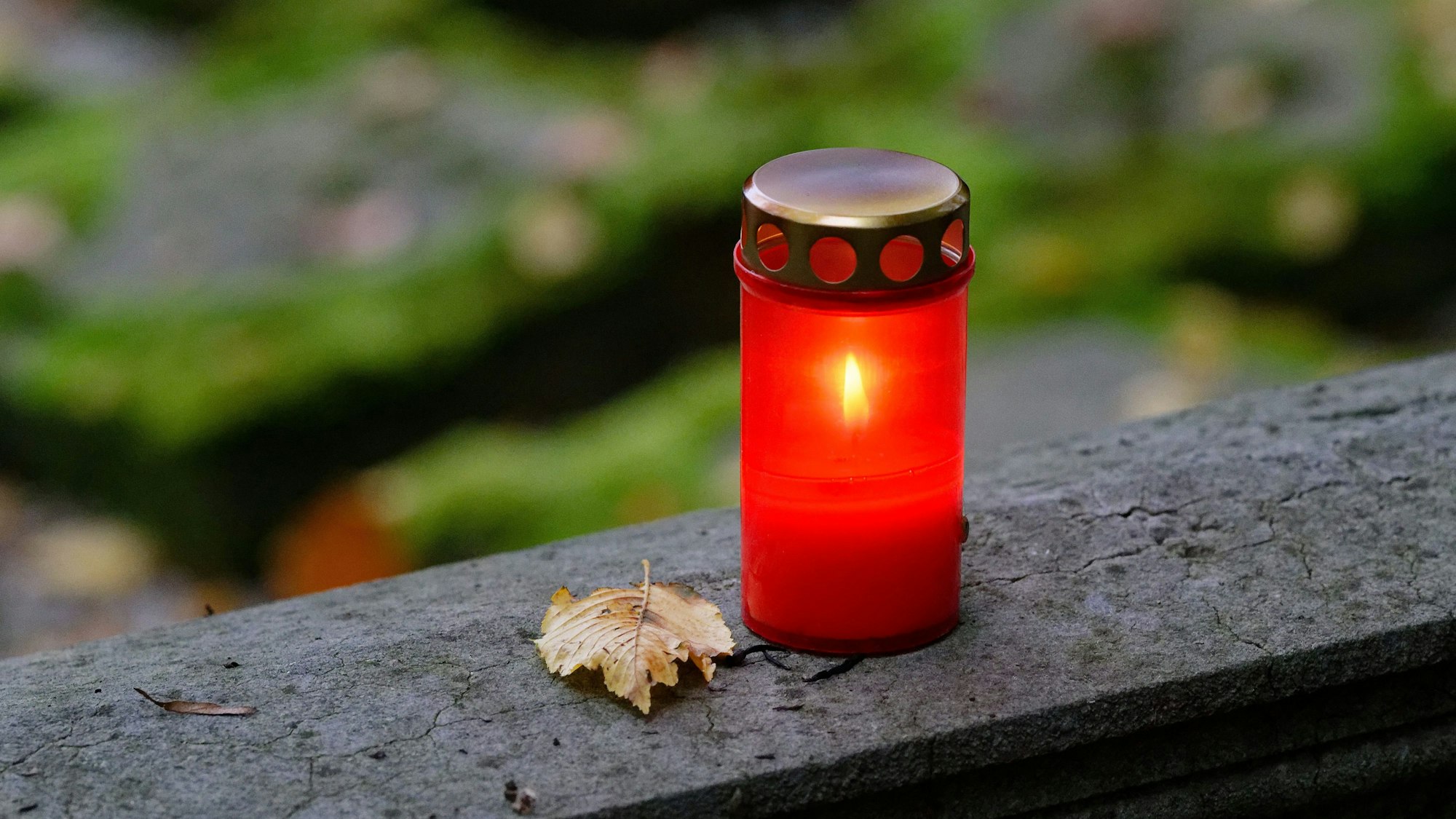 Ein Grablicht leuchtet an Allerheiligen an einem Grab.