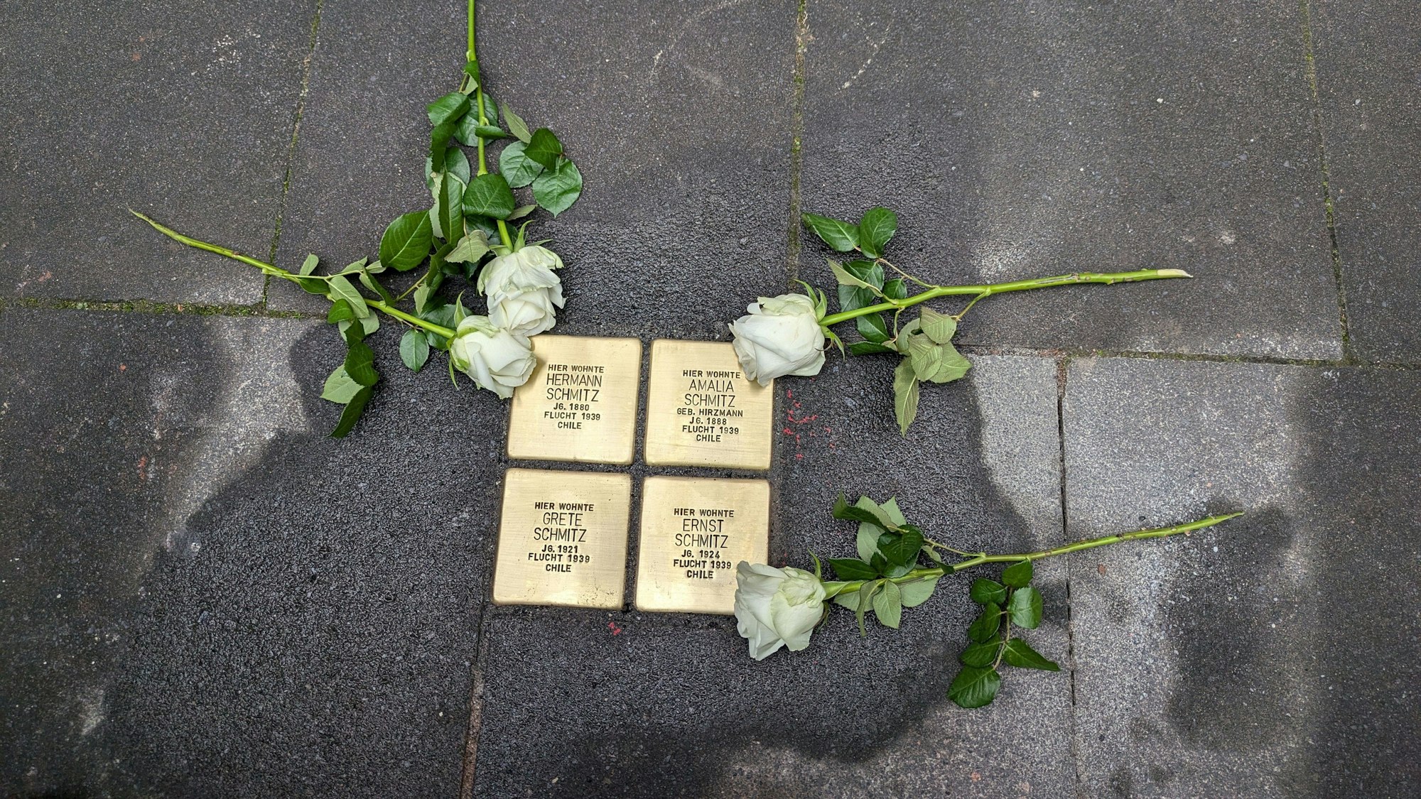 Stolpersteine, wie hier in Bornheim, erinnern an vielen Stellen in Deutschland an die Gräueltaten der Nazis.