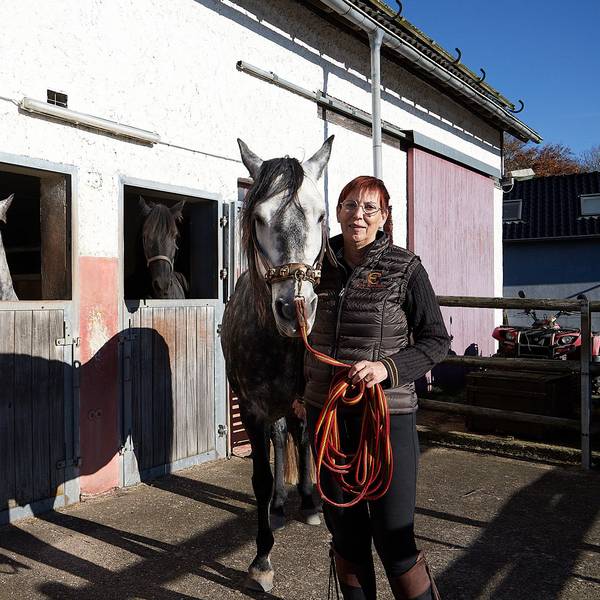 Eine Frau steht nah bei einem Pferd. Sie befinden sich neben einem Pferdestall, aus dem zwei weitere Tiere die Köpfe heraushalten.